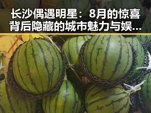 长沙偶遇明星：8月的惊喜背后隐藏的城市魅力与娱乐圈的微妙关系